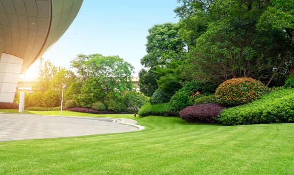 Commercial Shrub Trimming in Salem