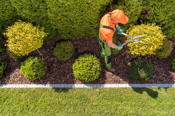 Topiary Trimming in Salem