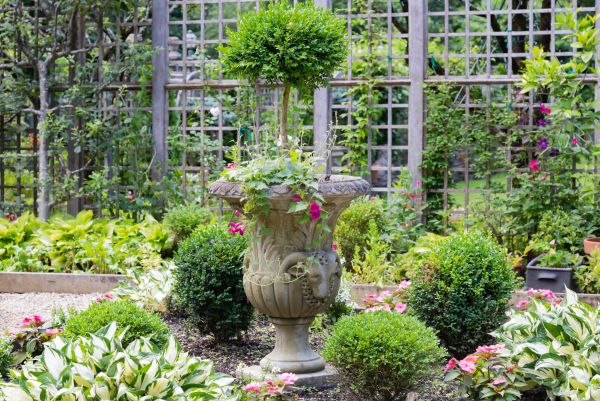 Topiary Pruning in Salem