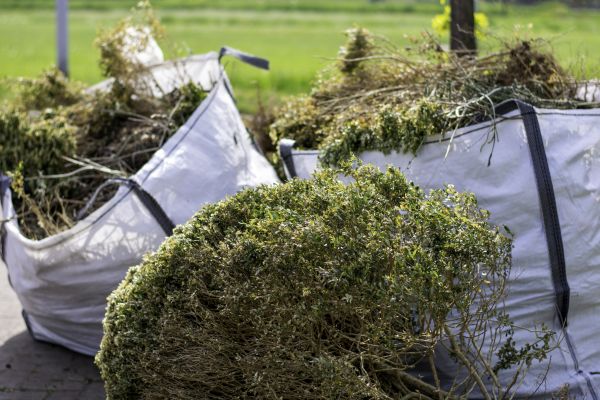 Cost of Shrubs Removal in Salem