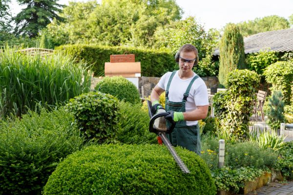 Shrubs Trimming in Salem
