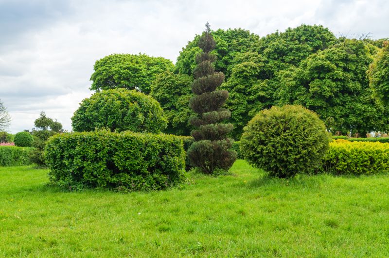 Trimmed Evergreen Shrubs
