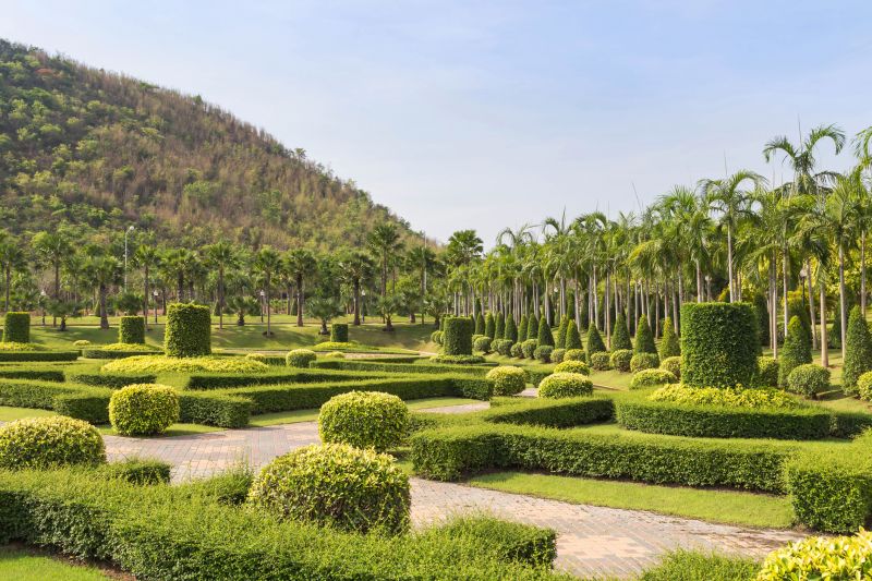 Finished Landscape with Trimmed Shrubs